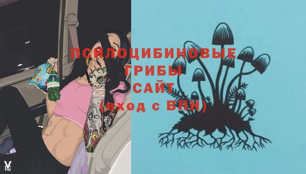 каннабис Аркадак
