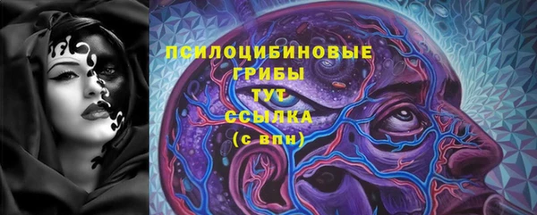 каннабис Аркадак